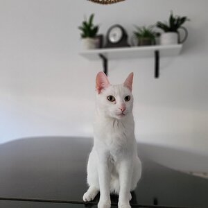 20220913_184014.jpg