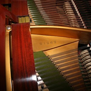 Bechstein2.jpg