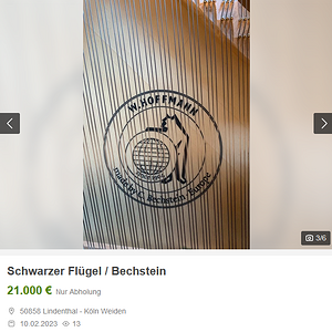 Fluegel2.png
