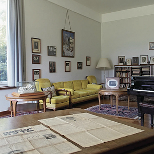 Senar_Steinway.png
