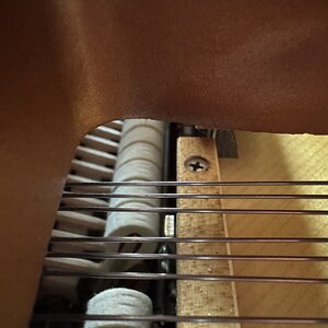 IMG_7063.jpeg