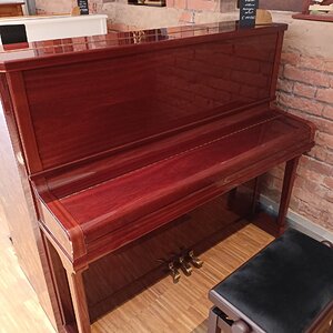 Schimmel 130.jpg