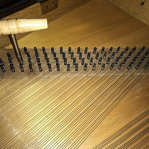 IMG_2847.jpeg
