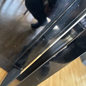 IMG_2929.jpeg