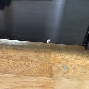 IMG_2930.jpeg