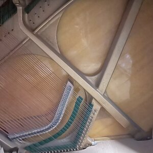 IMG_5021.jpeg