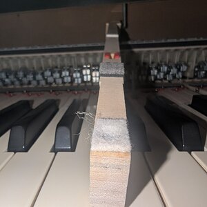 Kawai_Drappstoff_Kuhle_2.jpg