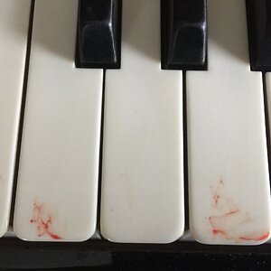 IMG_2219.jpeg