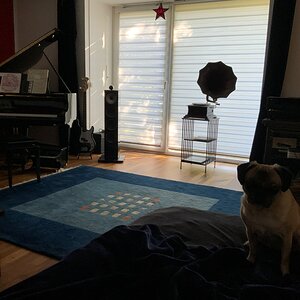 IMG_4924.jpeg