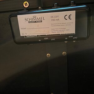 IMG_6676.jpeg