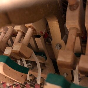 IMG_0149.jpeg