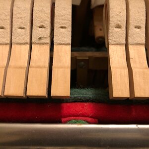 IMG_0150.jpeg