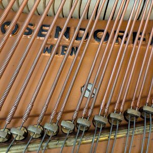 Fehlende Saite an Agraffe.jpg