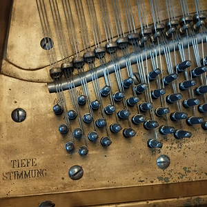 Screenshot 2025-11-23 at 18-04-54 Blüthner Flügel mit vollem Klang und schöner Patina in Bayer...png