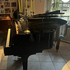 Screenshot 2025-12-18 at 09-09-22 KAWAI GE 30 Bj.2008 Top Zustand eBay.de.png