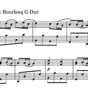 L. Mozart_ Bourlesq.jpg