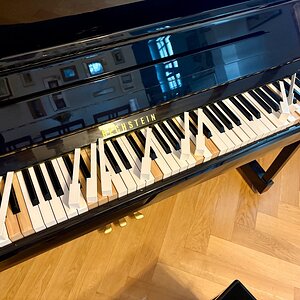 Bechstein B124style.jpeg
