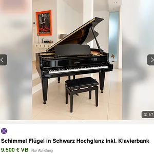 Schimmel.webp