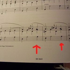 noten.jpg