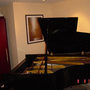 n2.jpg