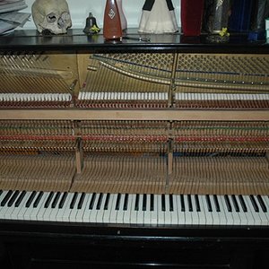 k5.jpg