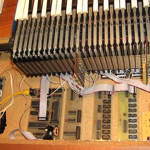 IMG_1200_1.jpg