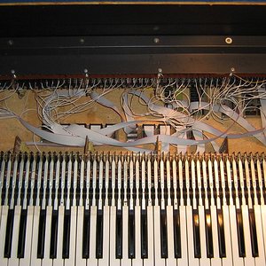 IMG_1201_1.jpg