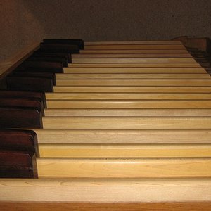 Pedal.jpg