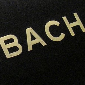 Schriftzug 4.jpg