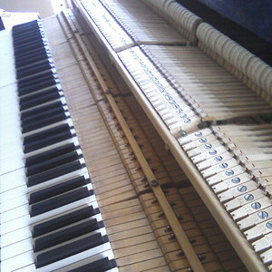 IMG014-01.jpg