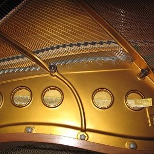 klein IMG_2160.jpg