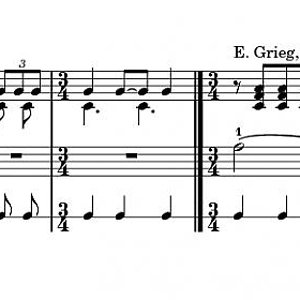spielwiese.jpg