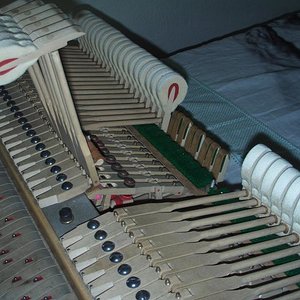 details 3.JPG