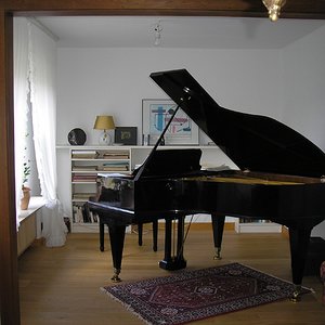 P5240011 b.jpg