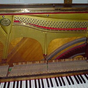 DSC00135.JPG