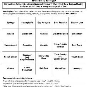 bullshit bingo.jpg
