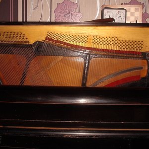 DSCF6396.jpg