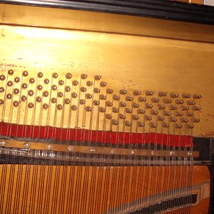 DSCF6398.jpg