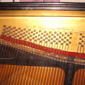 DSCF6399.jpg