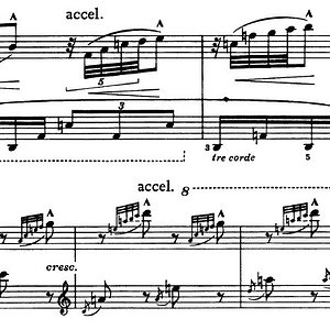 Pedal 5. Sonate.jpg