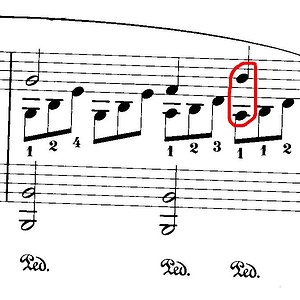 Scannen0001.JPG