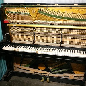 IMG_9636 (1).jpg
