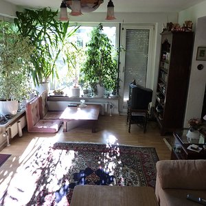 P10005761.jpg