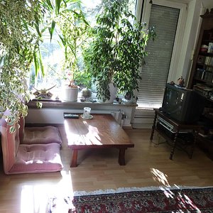 P10005771.jpg