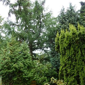 P10005841.jpg