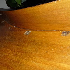 CIMG0003_small.jpg