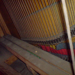 DSC00046.JPG