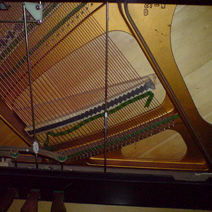 DSC00068.JPG