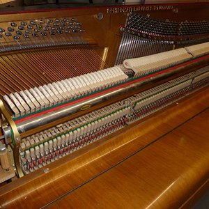 Schiedmayer+Söhne15-clavio.jpg