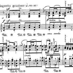 Schubert-Godowski Vorschläge.jpg